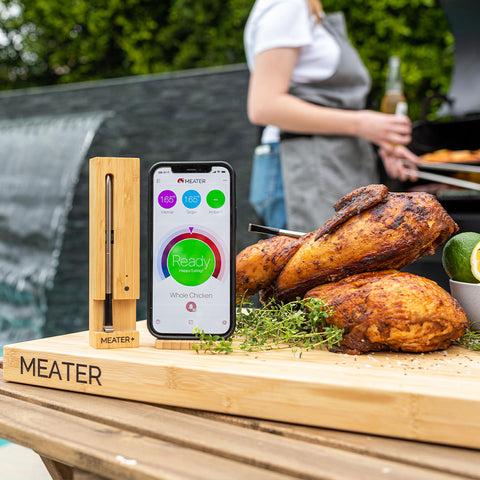 MEATER Plus View 4